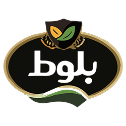بلوط